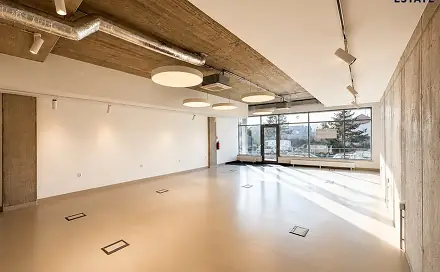 Pronájem obchodních prostor 145 m², Gajdošova, Brno - Židenice