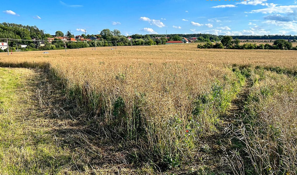 Prodej stavebního pozemku 7 409 m², Davle – náhled fotky 5