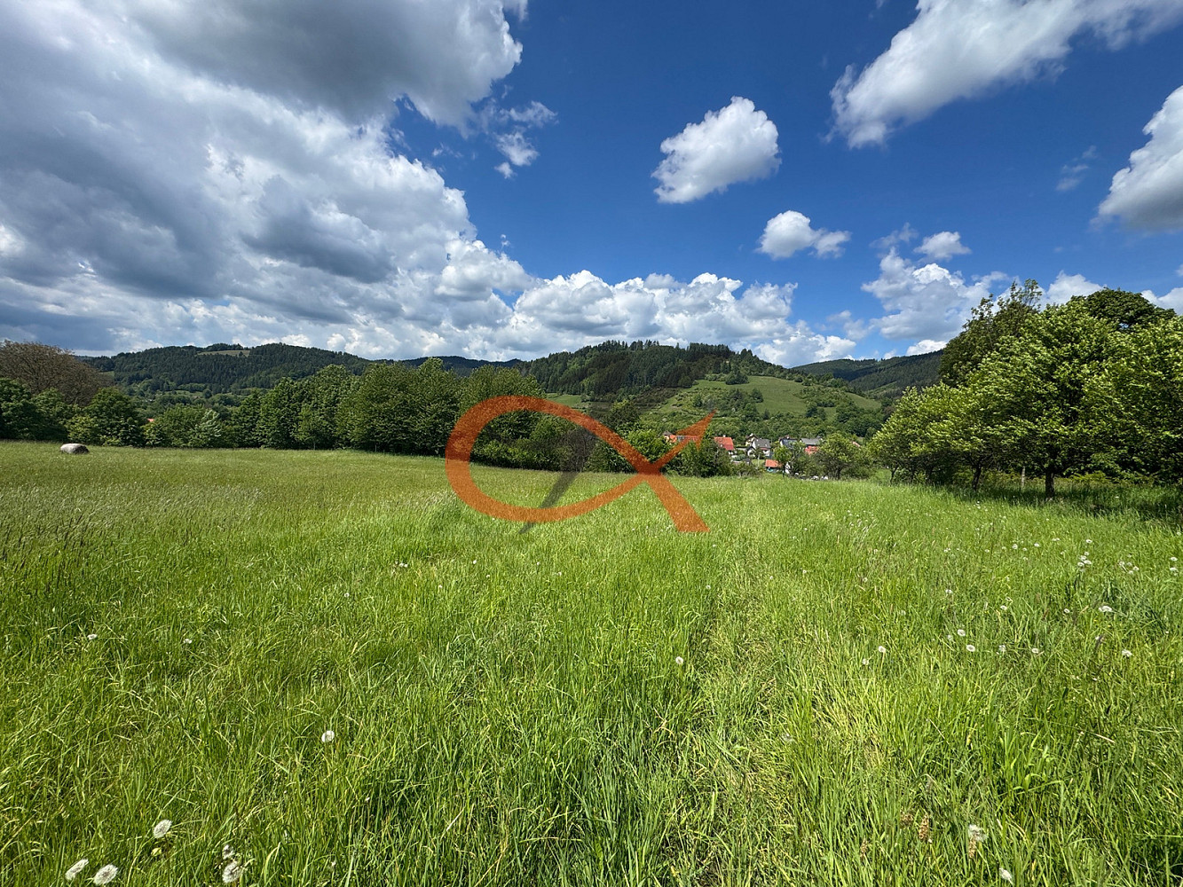 Prodej louky 25 140 m² – fotografie 3