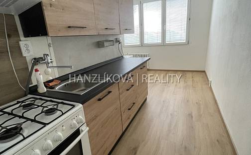 Pronájem bytu 2+1 50 m², Plzeňská, České Budějovice - České Budějovice 3