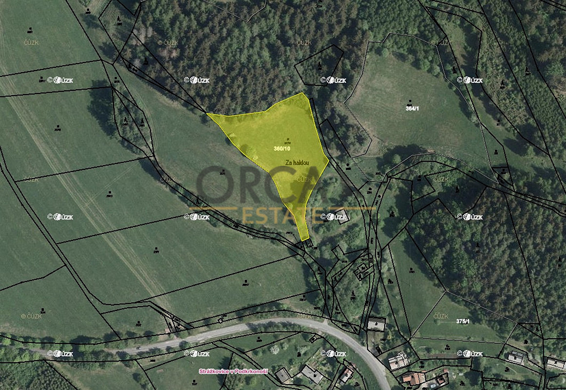 Prodej louky 3 133 m² – fotografie 2