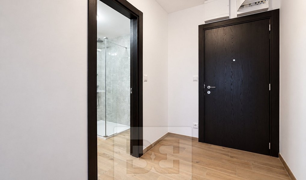 Pronájem bytu 2+kk 55 m², České Budějovice – náhled fotky 16
