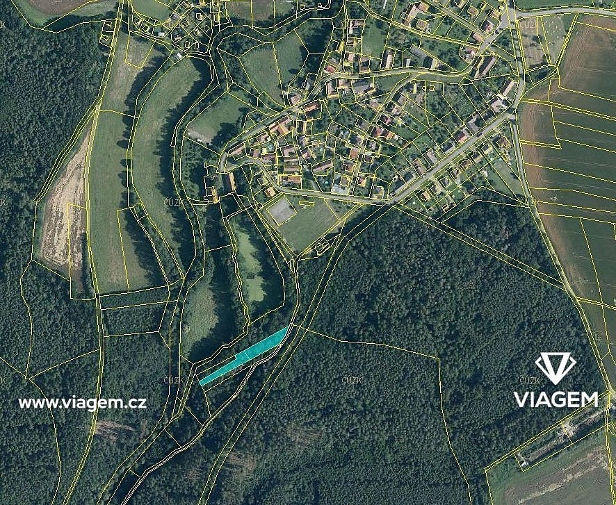 Prodej lesa 1 007 m² – fotografie 2