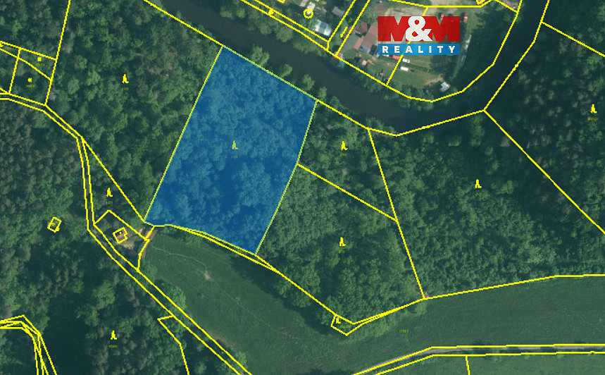 Prodej lesa 6 543 m²