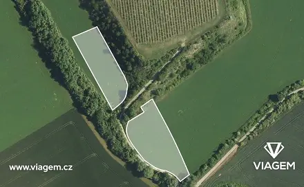 Ostatní