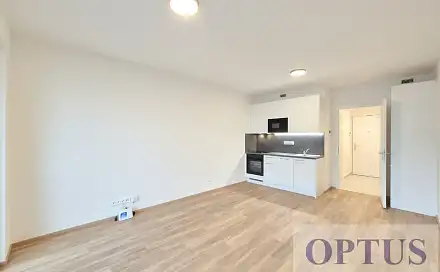 Pronájem bytu 1+kk 32 m²