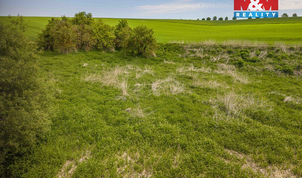 Prodej louky 1 137 m², Vlašim – náhled fotky 5