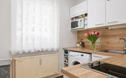 Prodej bytu 1+1 39 m², Liberec