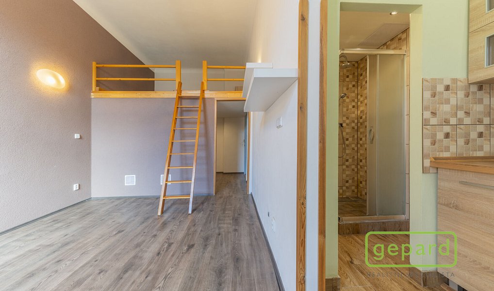 Pronájem bytu 1+kk 35 m², Cheb – náhled fotky 4