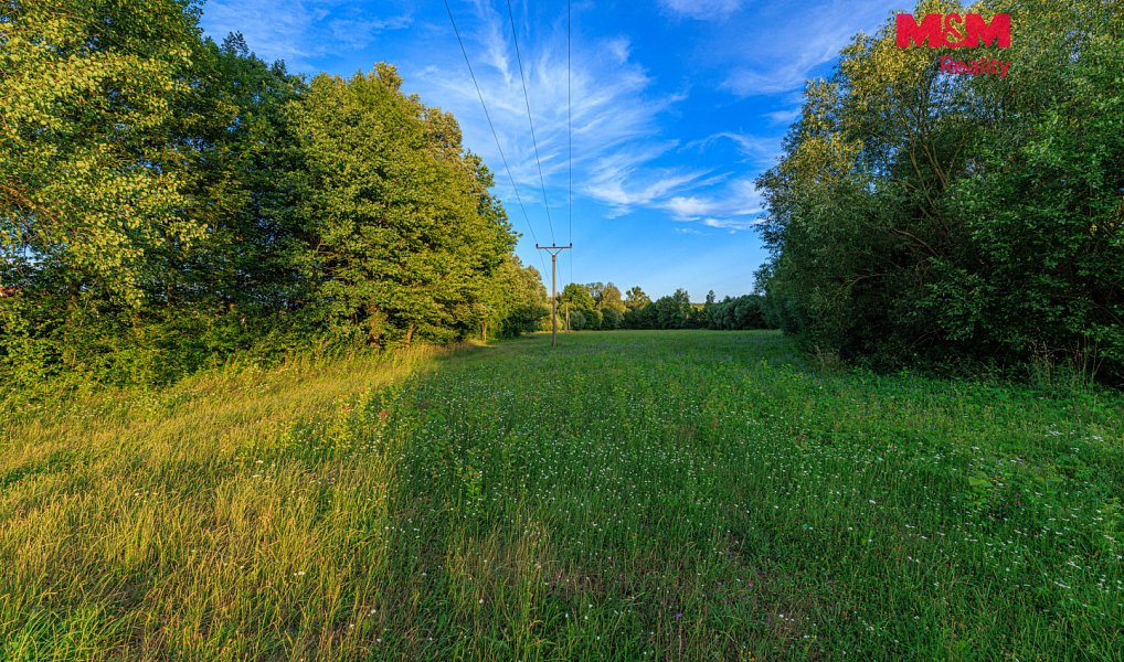 Prodej louky 4 590 m², Horní Bříza – náhled fotky 6