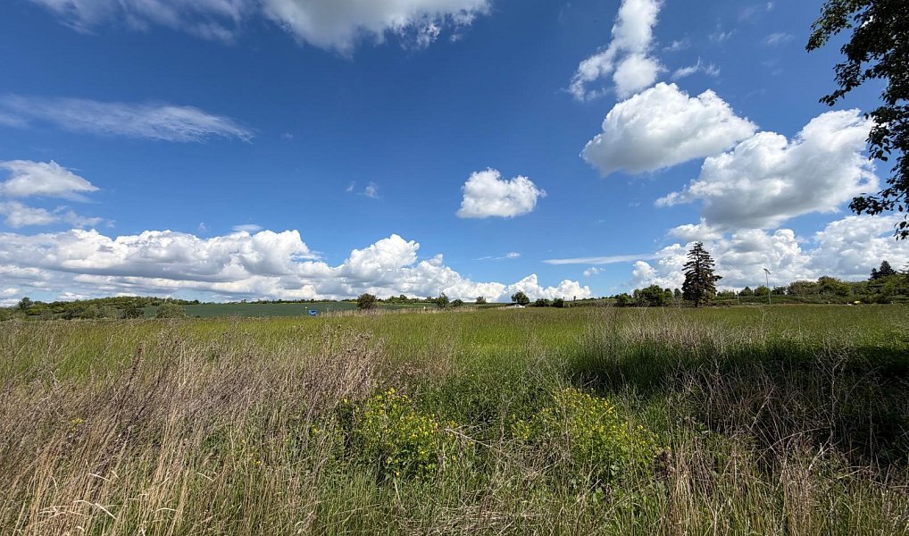 Prodej stavebního pozemku 911 m², Skršín – náhled fotky 2
