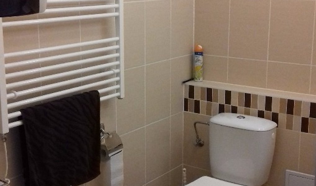 Pronájem bytu 2+kk 55 m², Brno – náhled fotky 7