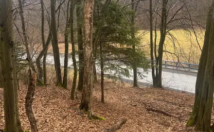 Prodej lesa 16 650 m², Zděchov - Velešovice