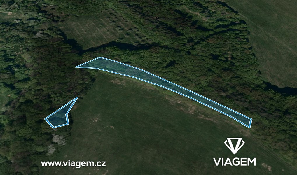 Prodej lesa 1 301 m², Bohuslavice nad Vláří – náhled fotky 2