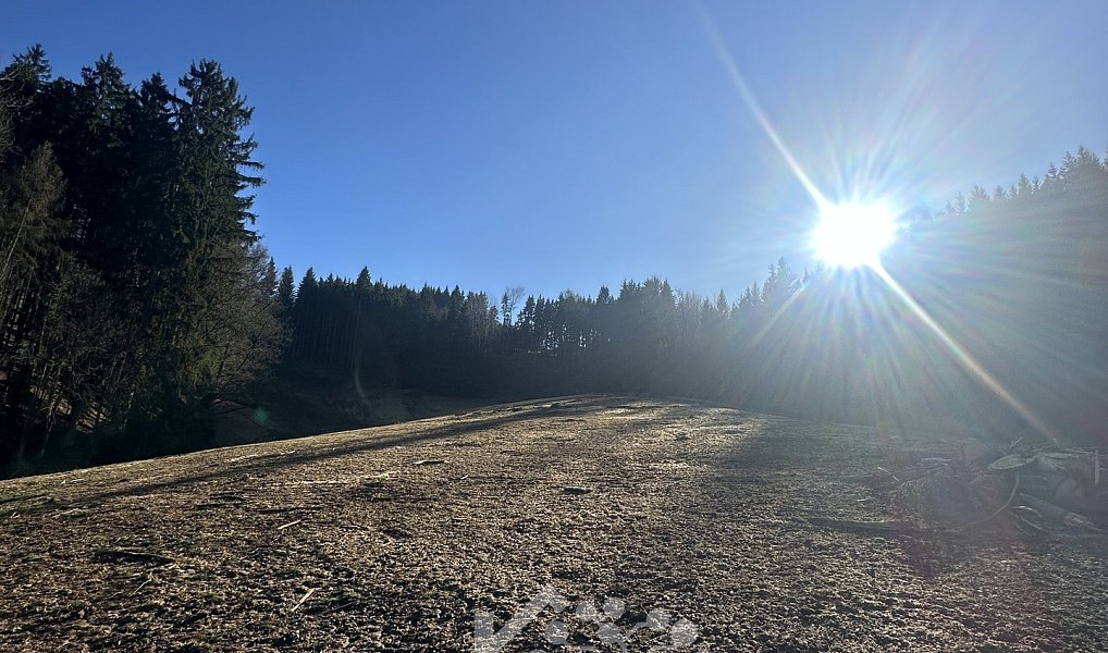 Prodej louky 15 029 m², Bozkov – náhled fotky 3
