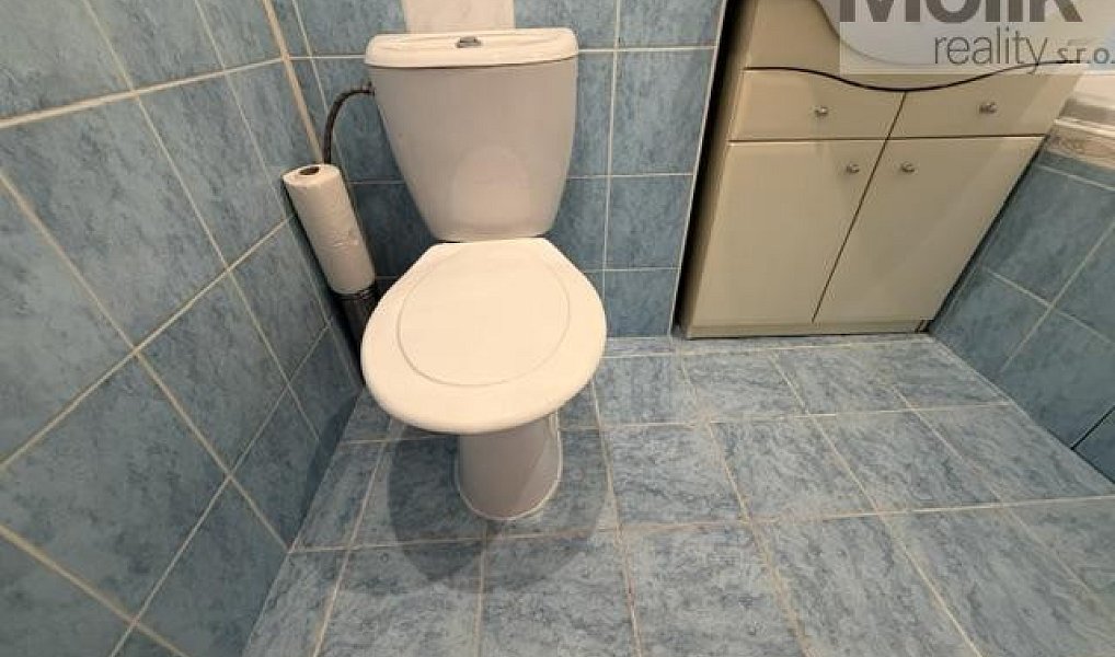 Pronájem bytu 2+1 55 m², Most – náhled fotky 9