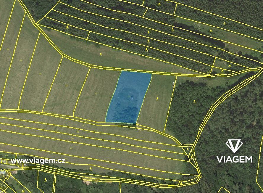 Pole 4 694 m², Podíl 33 % o výměře 1 565 m² – pohled 4
