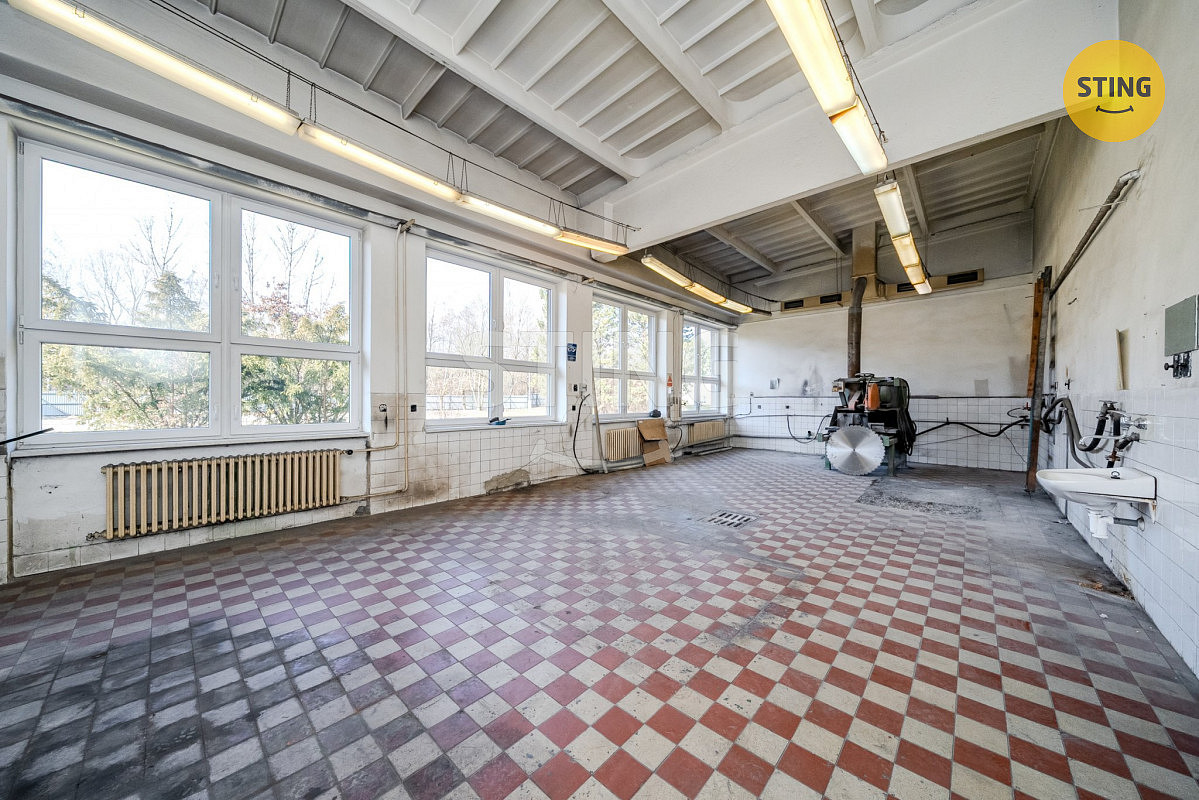 Pronájem komerčního objektu (jiného typu) 556 m² - Więcej