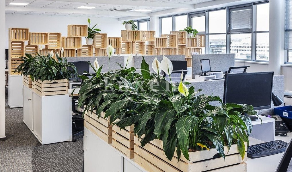 Pronájem kanceláře 303 m², Praha – náhled fotky 4