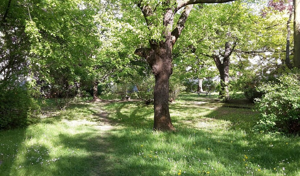 Pronájem bytu 1+1 36 m², Plzeň – náhled fotky 5