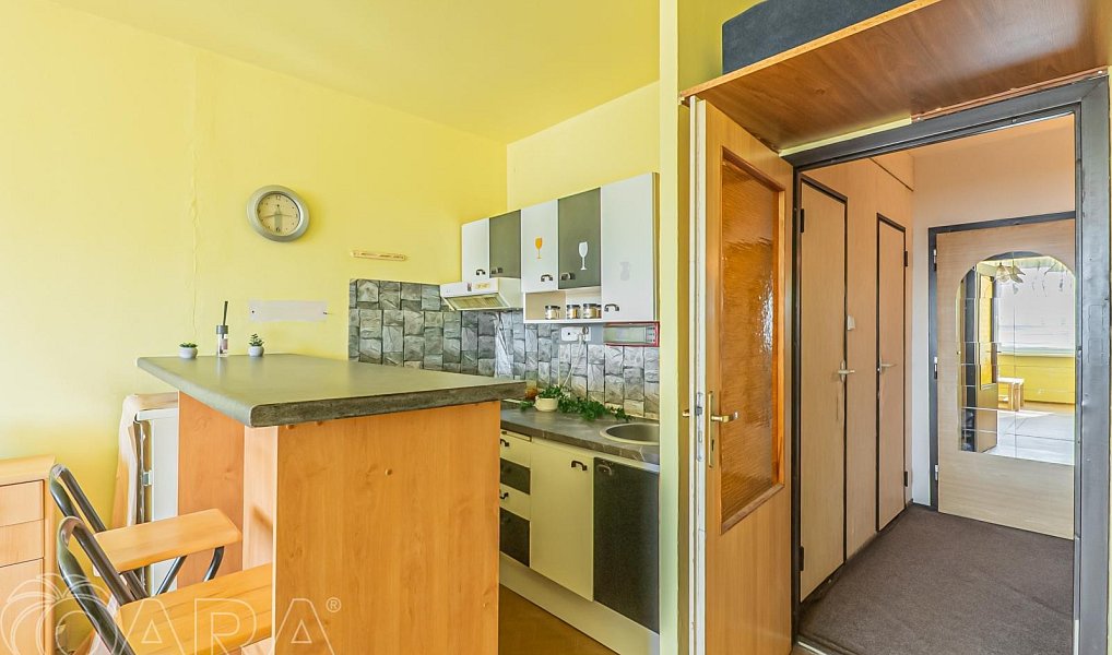Prodej bytu 1+kk 30 m², Praha – náhled fotky 12
