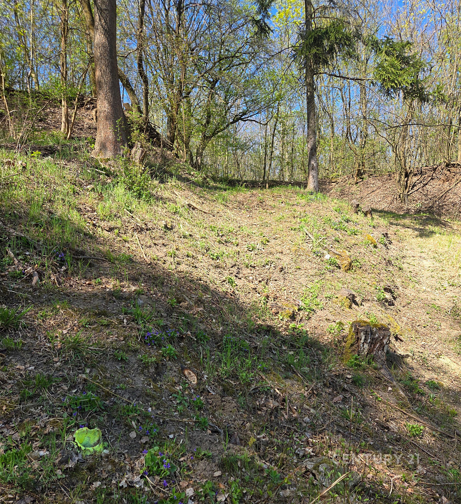 Prodej zahrady 1 147 m² – fotografie 3