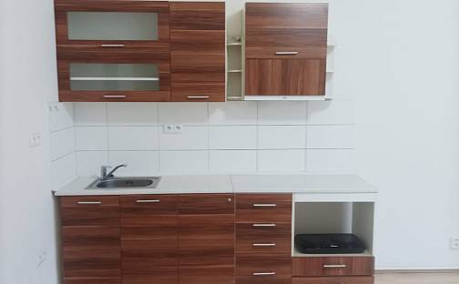 Pronájem bytu 1+kk 30 m², Hanusova, Praha 4 - Michle