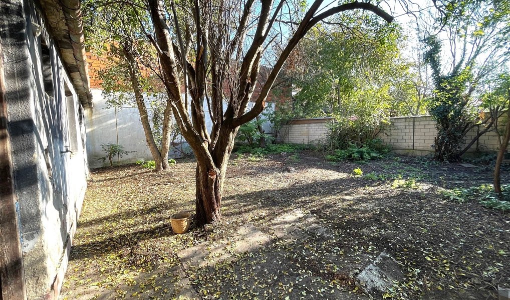 Prodej domu 271 m² s pozemkem 271 m², Šumice – náhled fotky 3