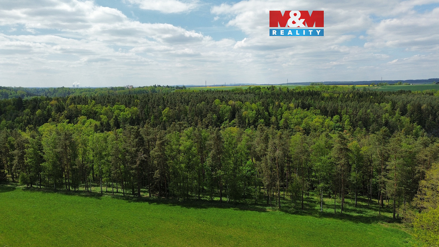 Prodej lesa 79 857 m²