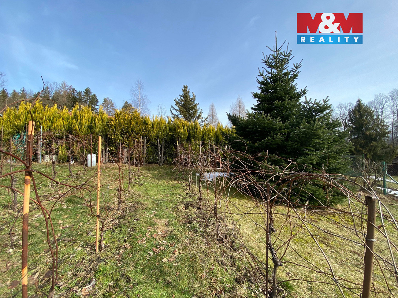 Prodej pole 5 617 m² – fotografie 3