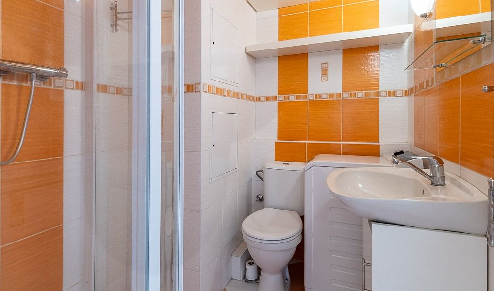 Prodej bytu 1+1 36 m², České Budějovice – náhled fotky 10