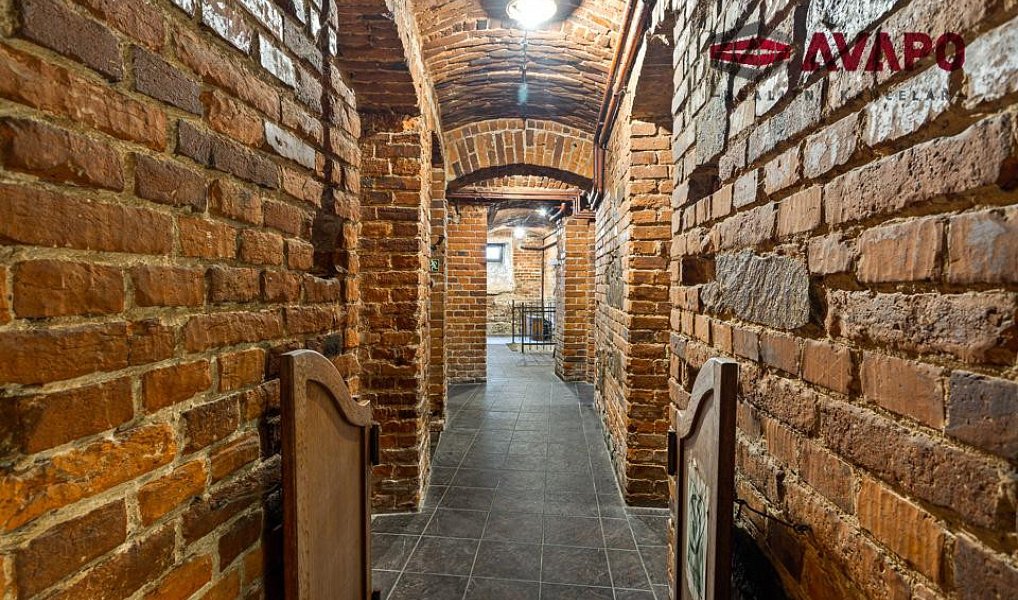 Prodej obchodních prostor 166 m², Opava – náhled fotky 12