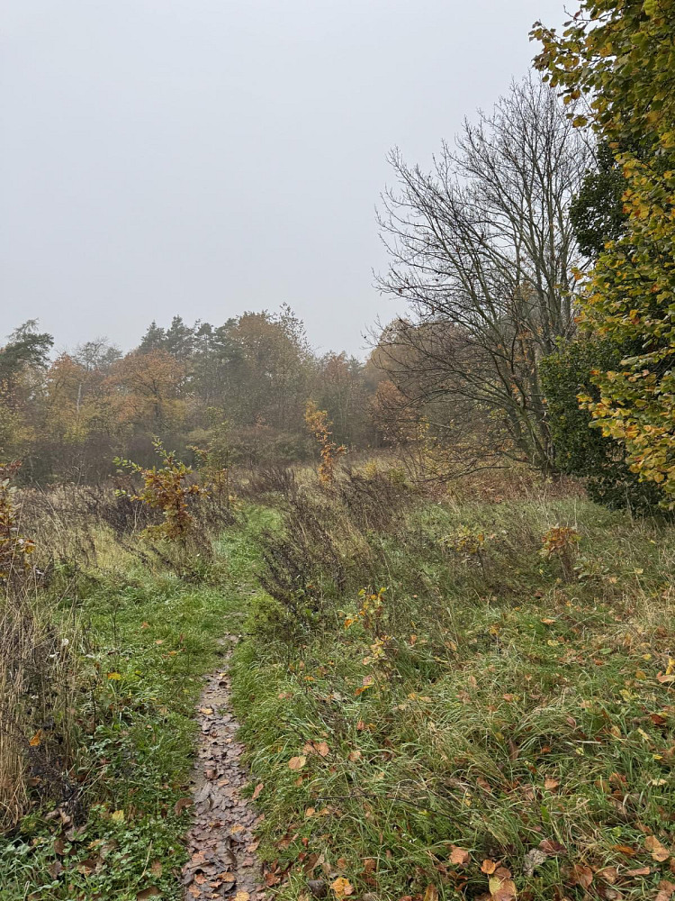 Prodej pozemku 14 747 m² – fotografie 2