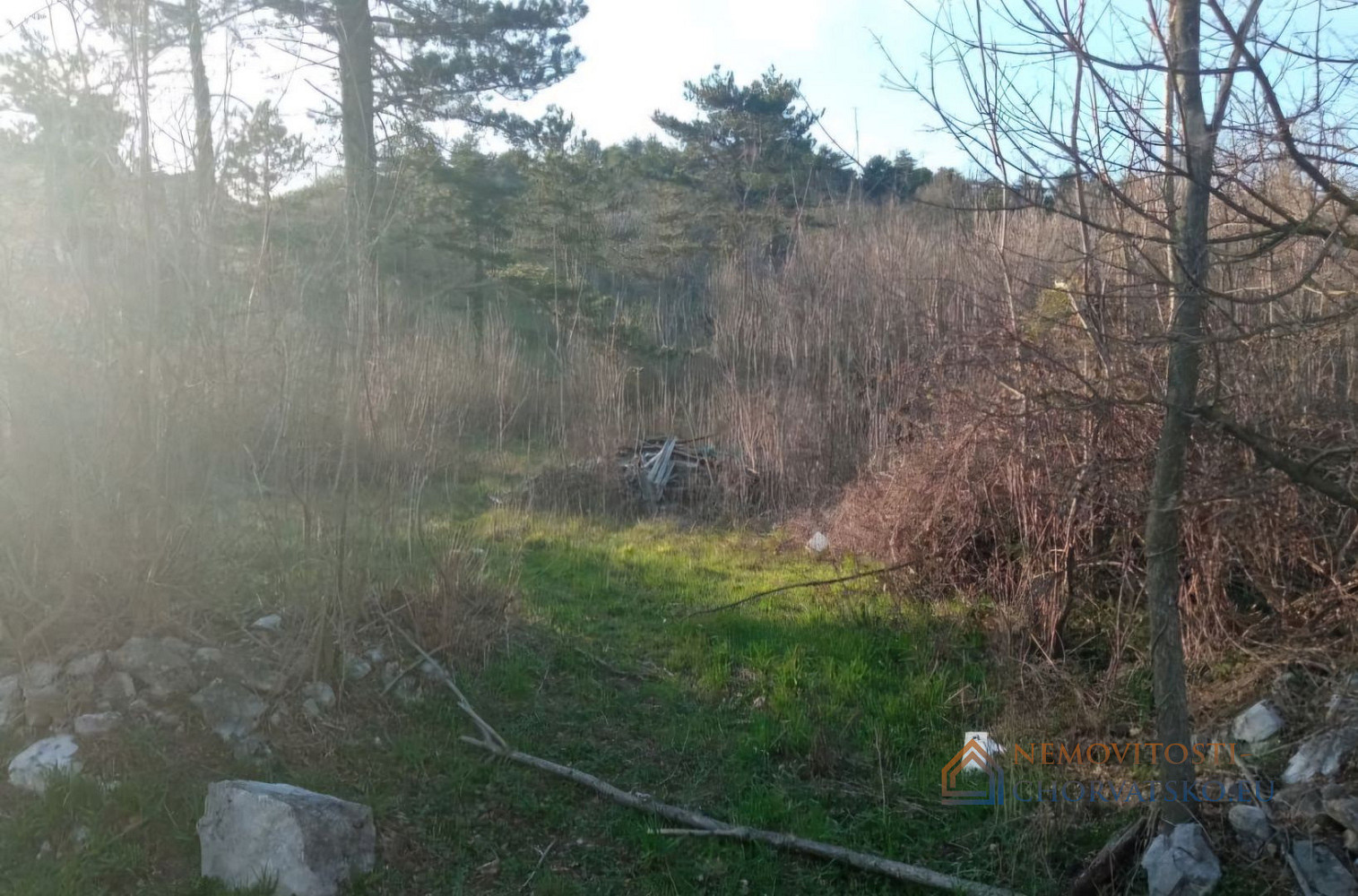 Prodej stavebního pozemku 3 140 m² - Widok 5