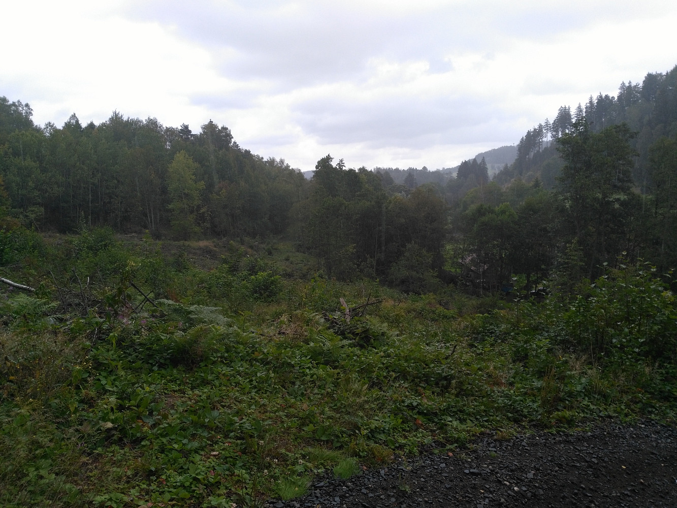 Prodej zahrady 7 879 m²