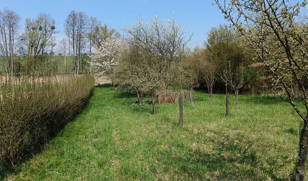 Prodej zahrady 1 872 m², Soběchleby – náhled fotky 17