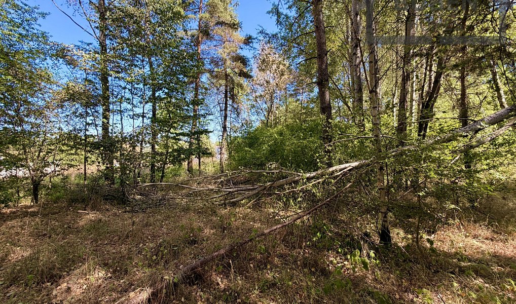 Prodej stavebního pozemku 894 m², Přimda – náhled fotky 3