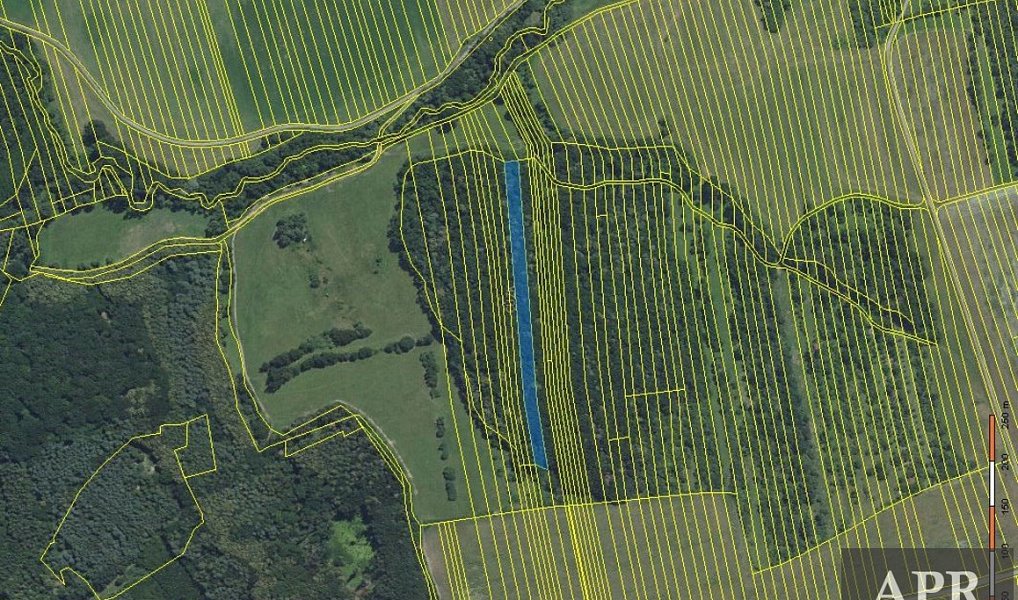Prodej lesa 4 947 m², Hradčovice – náhled fotky 3