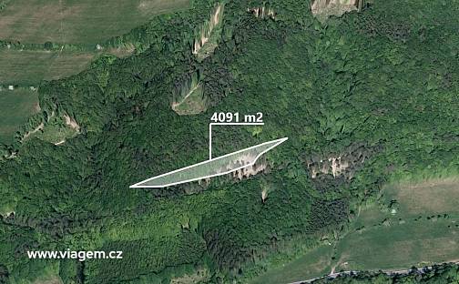 Prodej lesa 4 091 m², Bratřejov, okres Zlín