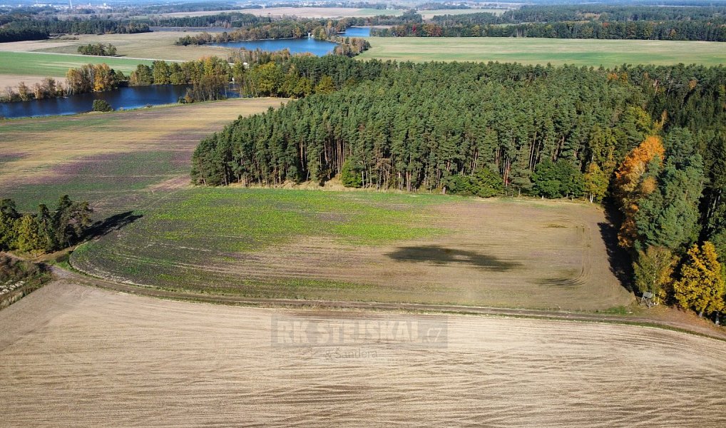 Prodej pole 49 992 m², Řípec – náhled fotky 3