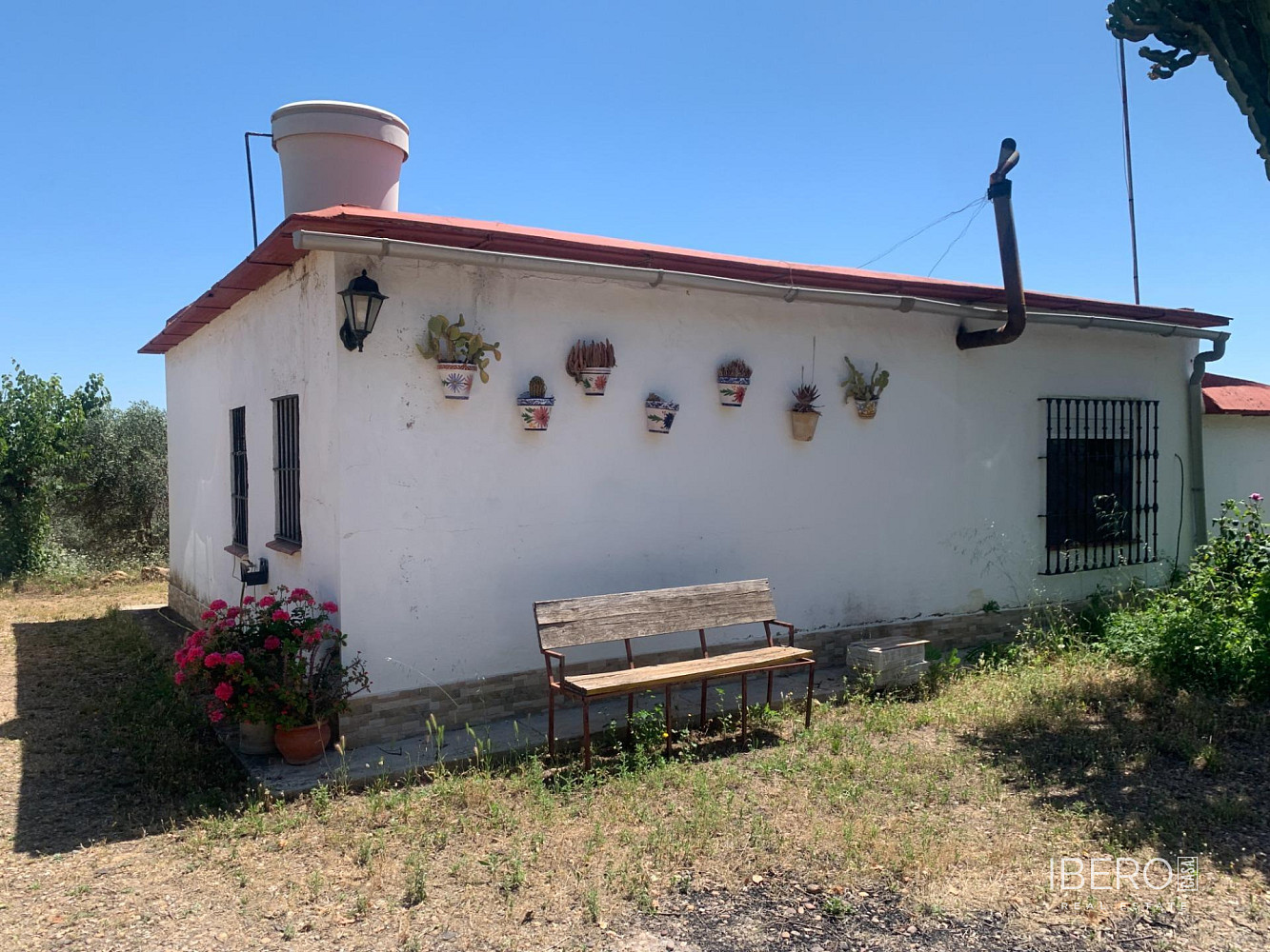 Fotka 10 z 15