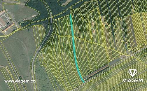 Prodej pole 539 m², Břeclav