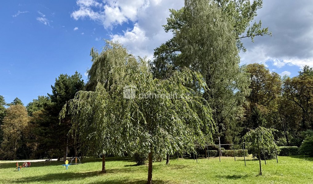 Prodej bytu 3+1 64 m², Karviná – náhled fotky 5