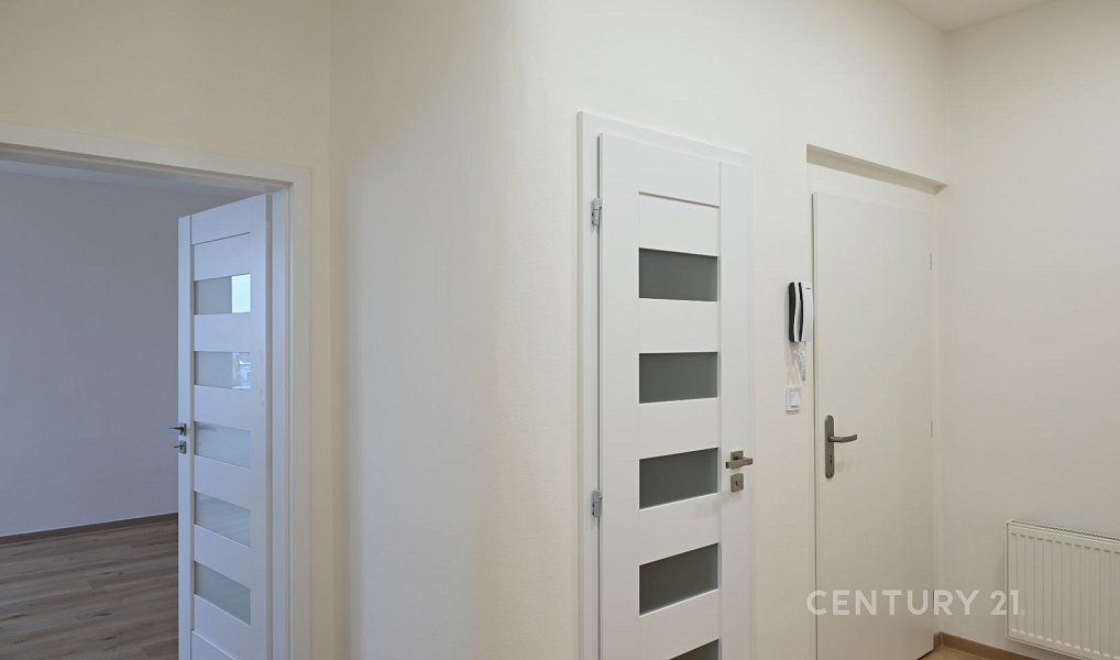 Pronájem bytu 2+kk 56 m², Plzeň – náhled fotky 13