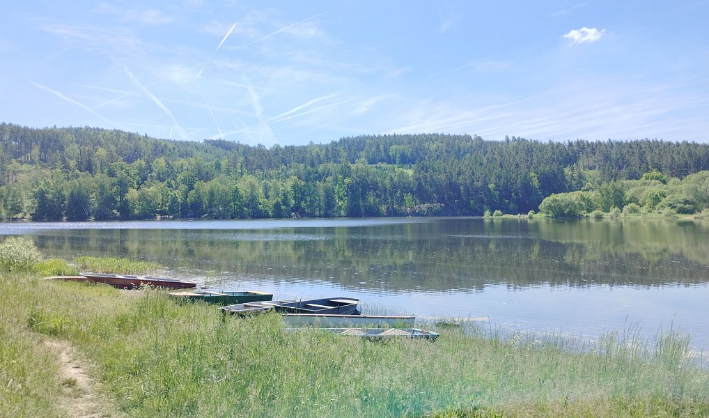 Prodej chaty/chalupy 39 m² s pozemkem 340 m², Stříbro – náhled fotky 20