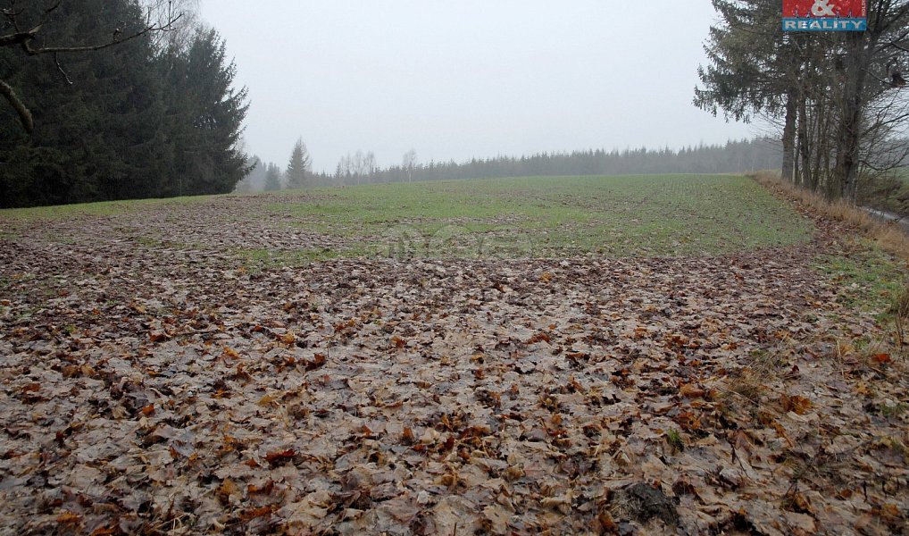Prodej pole 2 465 m², Lomnice nad Popelkou – náhled fotky 3