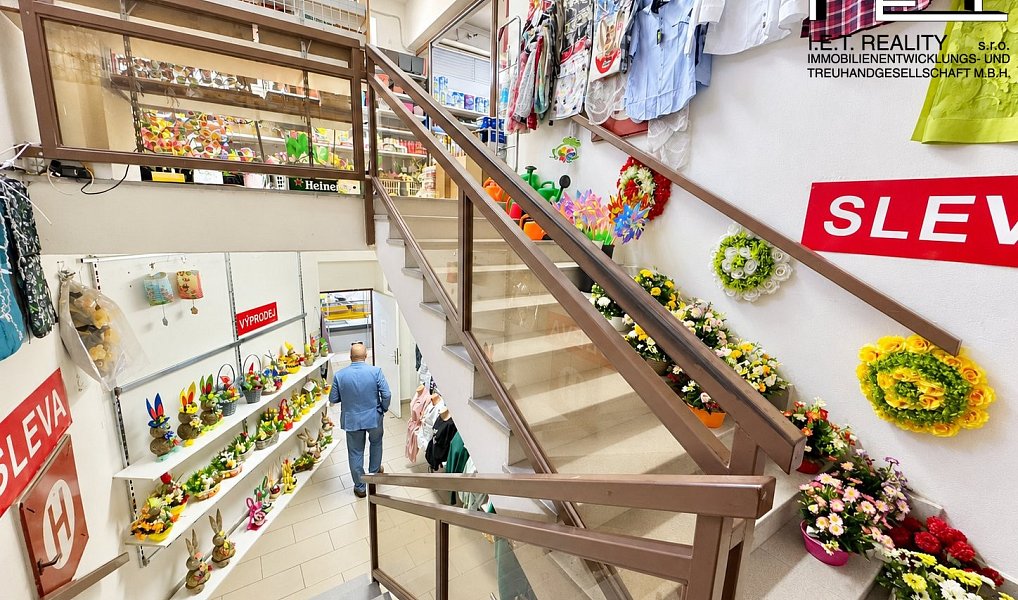 Prodej komerčního objektu (jiného typu) 3 138 m², Pozořice – náhled fotky 5