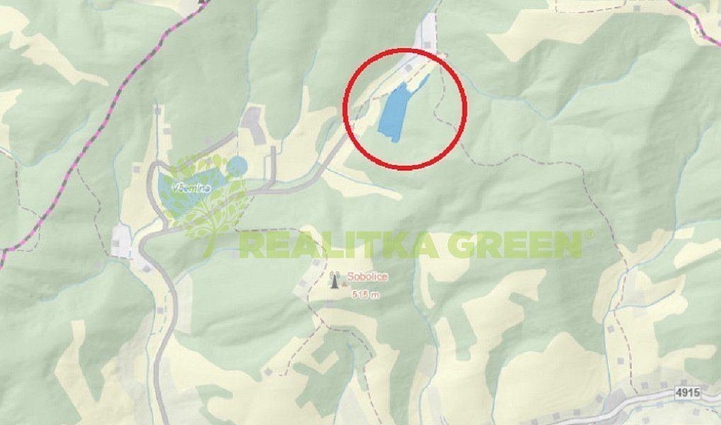 Prodej lesa 17 966 m², Všemina – náhled fotky 3