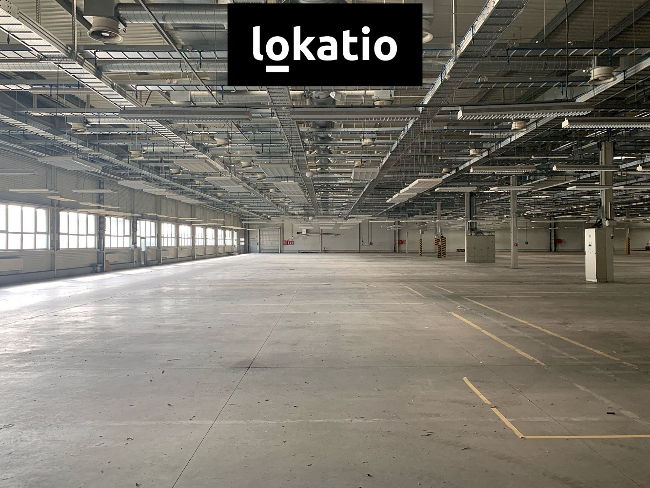 Pronájem skladovacích prostor 5 000 m² — photo 2