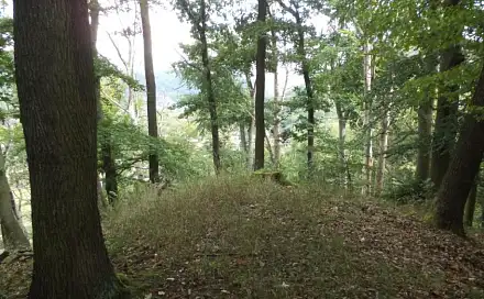 Dražba louky 14 517 m², Malé Březno